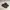 Adidas Streetwear Y2K Sneakers Pria Black Gray