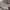 AMI Paris Avant Garde Minimalist T-shirt Pria gray photo 6