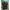 Gorpcore Windbreaker Pria green photo 3