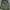 Biker Casual Parka Pria green photo 5