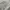 Puma Streetwear Sportswear T-shirt Pria gray photo 3