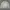 Le Coq Sportif Vintage Sportswear Sweatshirt Pria gray photo 1