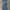 Victoria Beckham Vintage Emo Jeans Pria Blue