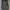 ELLE Biker Emo Casual pants Pria black photo 4