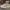 VANS Casual Sneakers Pria white photo 1