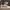 VANS Casual Sneakers Pria White