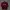 Champion Skater Casual Sweater Pria burgundy photo 1