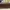 CELINE Casual Crossbody Bag Wanita burgundy cream photo 3