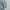 Nike Streetwear Sweatshirt Pria gray photo 5
