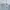 Nike Streetwear Sweatshirt Pria gray photo 3