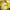 Adidas Vintage Casual Casual shirt Pria yellow photo 3