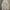 Streetwear Sportswear Windbreaker Wanita white photo 3