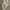 Streetwear Sportswear Windbreaker Wanita white photo 5