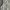 Streetwear Sportswear Windbreaker Wanita white photo 4