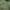 Japanese brand Vintage Grunge Parka Pria green photo 5