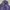 Luxury Fur coat Wanita purple navy photo 2