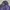 Luxury Fur Coat Wanita Purple Navy