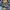 Jack Wolfskin Gorpcore Parka Pria navy photo 5