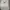 Nike Casual Sneakers Pria white photo 3