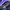 New Balance Gorpcore Hoody Pria purple photo 5