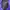 New Balance Gorpcore Hoody Pria purple photo 4