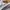 Nike Vintage Streetwear Sneakers Pria white photo 7