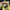 Nike Vintage Sneakers Pria green khaki photo 6