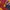 Oioi Streetwear Casual Sweater Pria red yellow photo 2