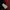 Pancoat Casual Sweater Pria multicolor photo 5