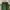Vintage Casual Skirt Wanita green photo 3
