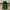 Vintage Casual Skirt Wanita green photo 2