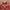Kansai Yamamoto Luxury Casual dress Wanita multicolor orange photo 2
