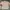 Uniqlo Lolita Casual Sweatshirt Wanita pink photo 1