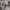 Y2K Casual High waisted jeans Wanita gray photo 1