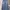 Vintage Y2K Casual Pants Pria Blue