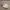 Minimalist Wanita white photo 4