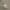 Minimalist Wanita white photo 1