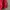 Casual Sweatshirt Pria red photo 5