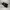 Charles and Keith Luxury Minimalist Heels Wanita black photo 1