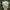 Ellesse Indie Coquette Hat Wanita white photo 3