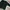 Adidas Sportswear Sweatshirt Pria black photo 1