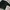 Adidas Sportswear Sweatshirt Pria Black