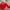 Kappa Sportswear Sweatshirt Pria Red