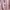 Luxury Casual Shirt Wanita pink photo 3