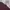 Polo Ralph Lauren Streetwear Sweatshirt Pria Burgundy
