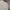 Reebok Streetwear Sweatshirt Pria White