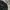 Polham Streetwear Sweatshirt Pria multicolor photo 1