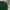 Streetwear Sweatshirt Pria Green