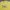 Polo Ralph Lauren Sportswear T-shirt Pria Yellow