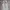 Fairy Minimalist Summer dress Wanita white blue photo 4